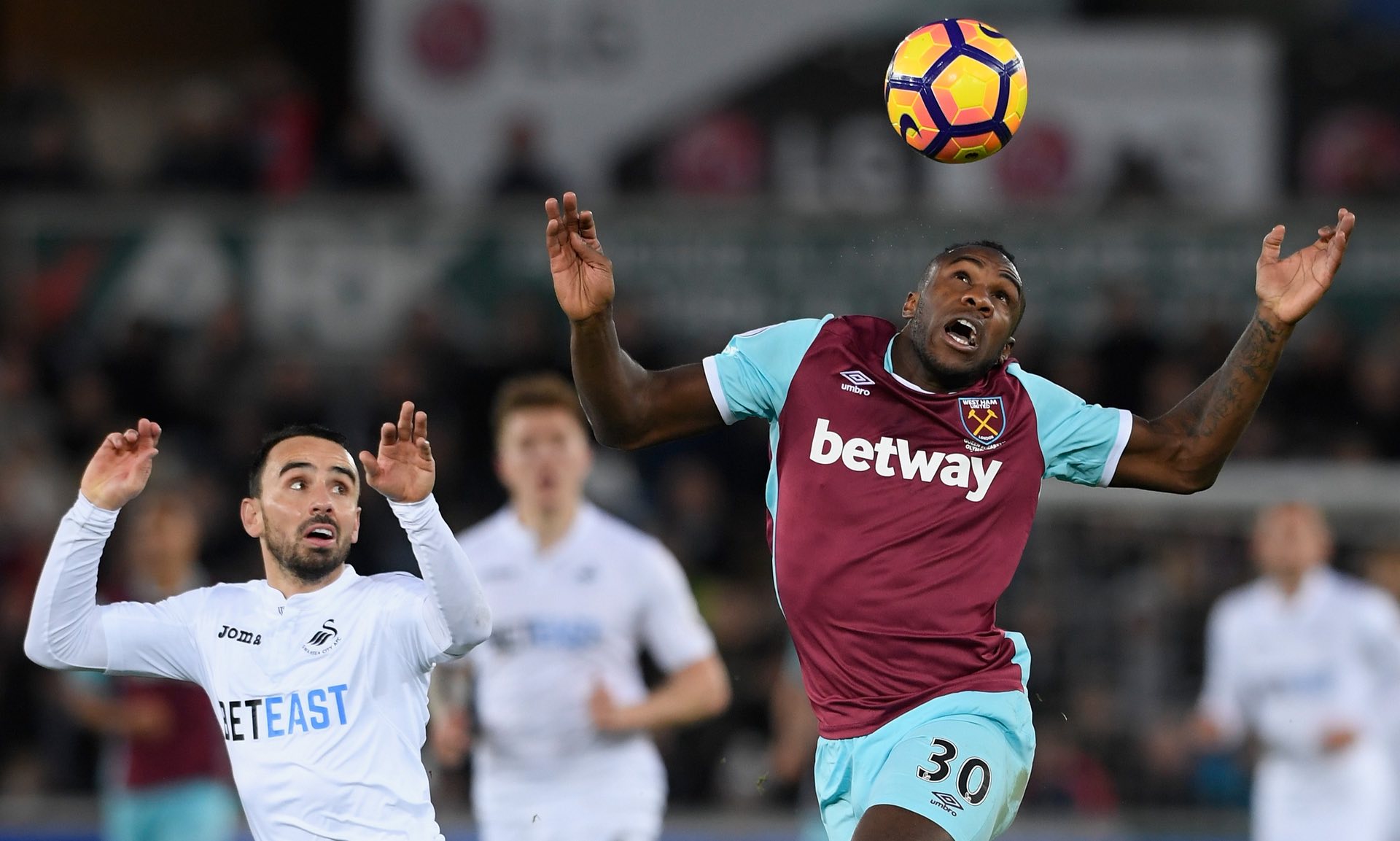 場均數據亮 場均數據亮